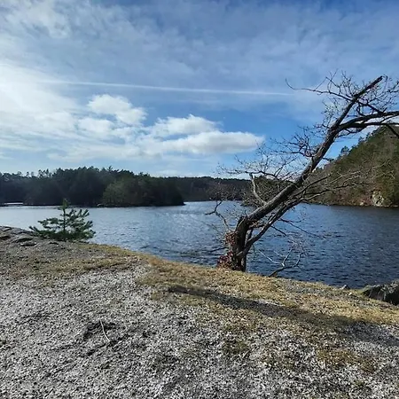 With Forrest View Kristiansand