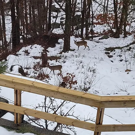 With Forrest View Apartmán Kristiansand