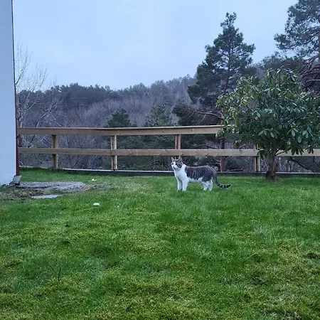 With Forrest View Апартаменты *