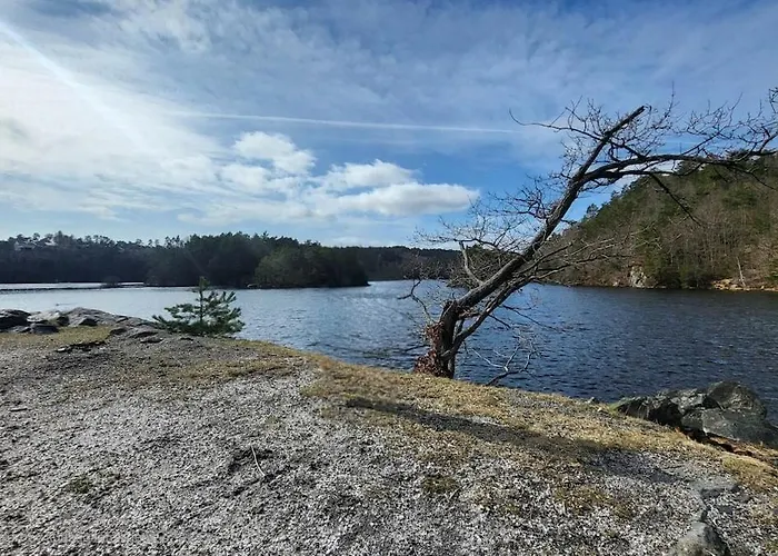 With Forrest View Kristiansand