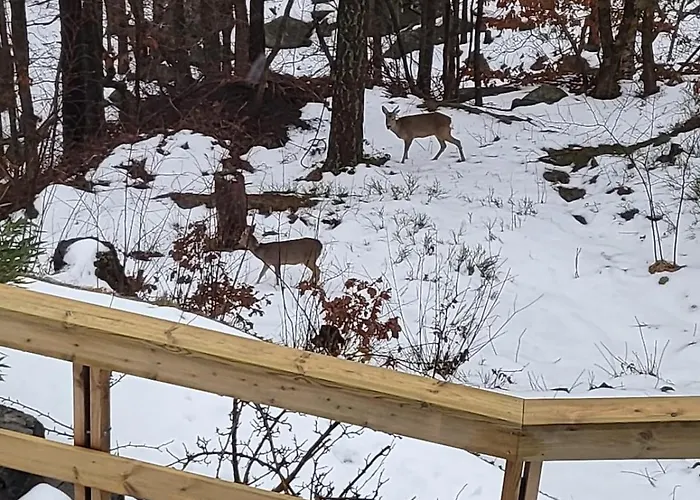 With Forrest View Apartament Kristiansand