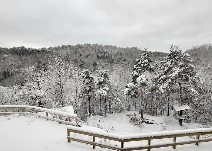 Apartament With Forrest View Kristiansand