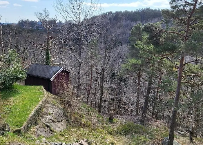 Apartament With Forrest View