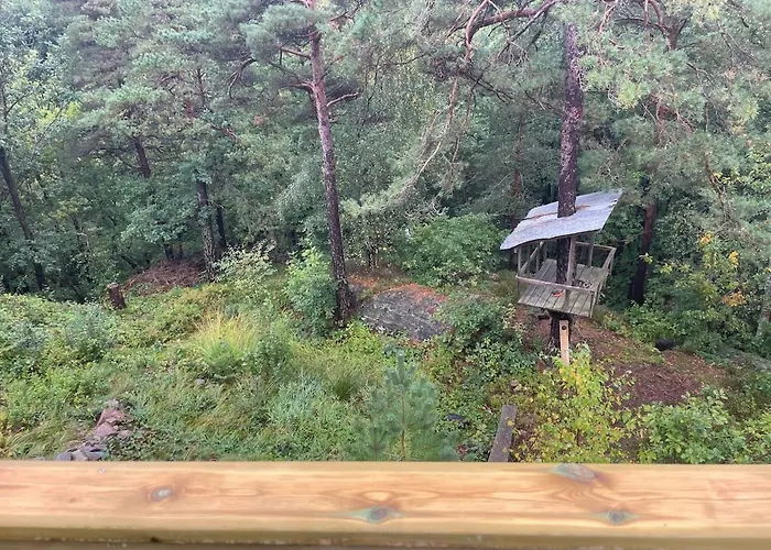 With Forrest View Apartament