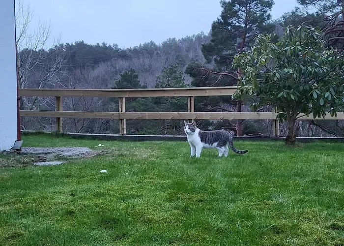 With Forrest View Apartament *