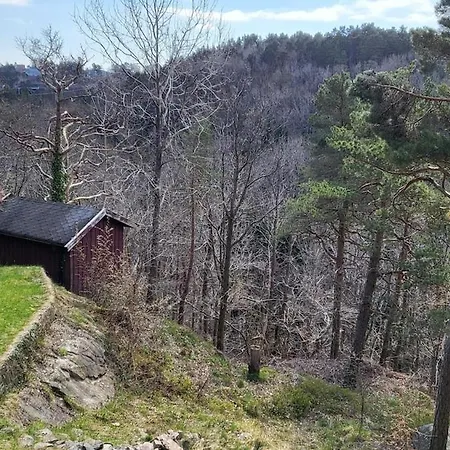 Lägenhet With Forrest View